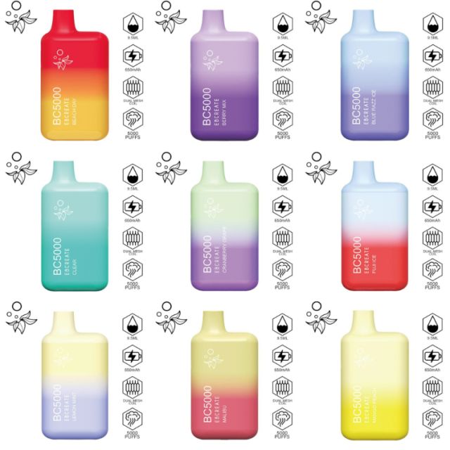 EBCREATE BC5000 Disposable wholesale flavors